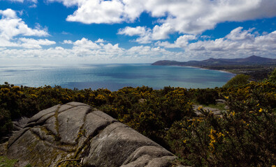 Expansive panoramic view of a beautiful Irish coastline featuring rugged rock formations, vibrant yellow gorse, and the serene blue sea under a dynamic sky