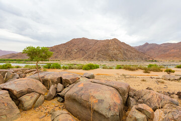 Arid landscape in the Richtersveld National Park