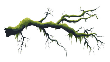 Fototapeta premium Detailed Mossy Tree Branch Nature Texture on Forest Floor