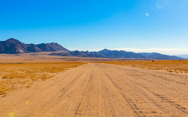 Arid landscape in the Richtersveld National Park