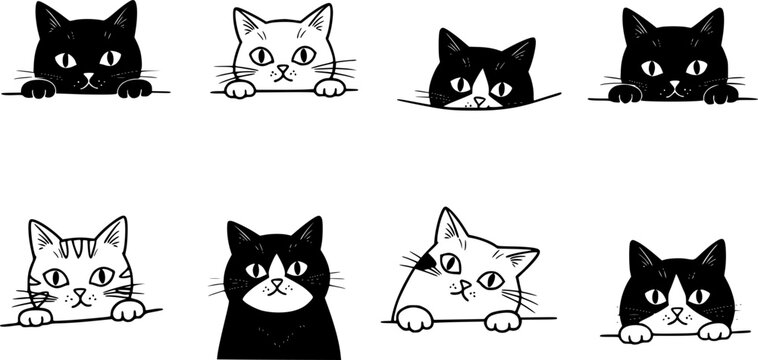 Black and white cat peeking, looking out. Funny characters set. Cute emotional domestic animal. Hiding, hunting, playing, sitting, lying concept. Hand drawn Vector illustration. Isolated elements
