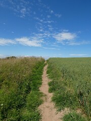 A narrow dirt path winds through a vibrant countryside under a bright blue sky scattered with soft...