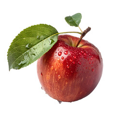 Colourful apple isolated on transparant backround