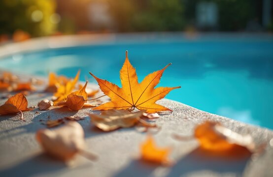 Golden autumn leaves scattered around pristine swimming pool edge. Clear blue water invites relaxation, seasonal backyard maintenance, cleanliness needs. Concept of fall debris removal for pristine