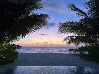  palm trees at sunset © Susann