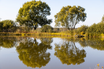 Two trees on the lake with reflections in the autumn