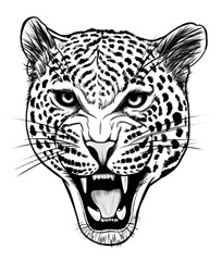 Isolated Black and White Leopard Face Sketch