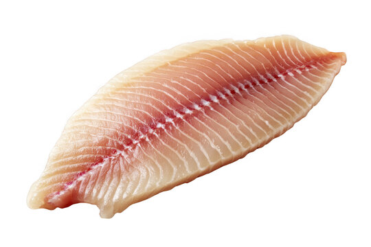 Fillet Muscle รูปภาพBloodline – เลือกดูภาพถ่ายสต็อก เวกเตอร์ และวิดีโอ2,199,533 ...