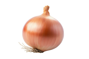 A single ripe yellow onion with roots and stem isolated on transparent background