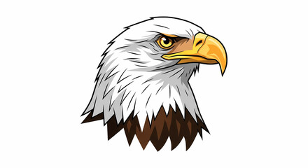 Bald Eagle Head: Majestic Bird of Prey, Wildlife Illustration, American Symbol, Nature Photography