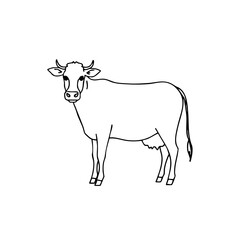 Simple line sketch of a cow standing on a white background  