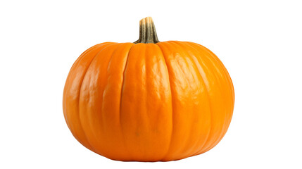 Vibrant orange pumpkin ready for fall harvesting season