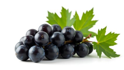 Fototapeta premium Fresh Black Grapes with Green Leaves Isolated on White Background – High Resolution Stock Image
