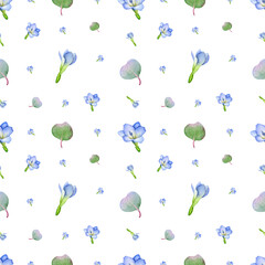 seamless watercolor pattern blue freesia on white background