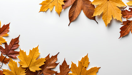Fototapeta premium Rustic autumn leaves delicately placed on a blank paper background, ready for your message