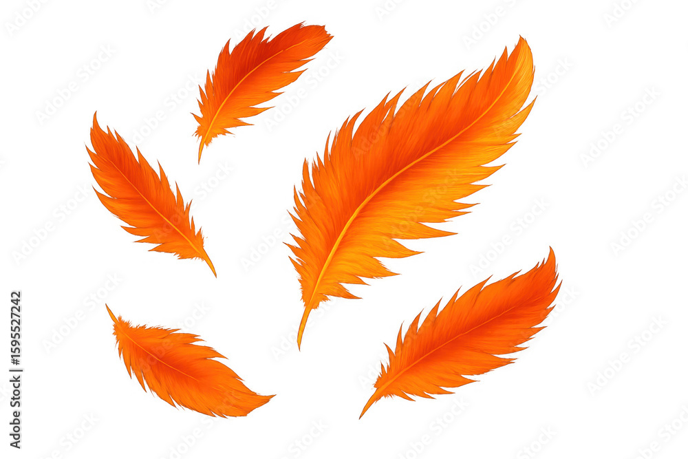 Poster five vibrant orange feathers gently falling against a transparent background, creating a dynamic and