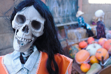 Festival Decor Skeleton Character Pumpkin Assortment