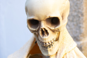 Skeleton Face Closeup Spooky Halloween Mask