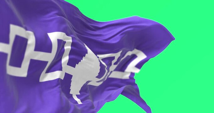 Close-up of Iroquois flag waving isolated on green background