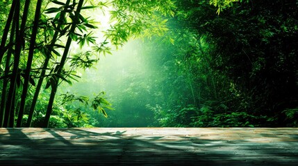Obraz premium Lush bamboo forest scene with wooden floor.