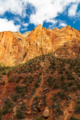 Grandiose Natur des Zion Nationalparks
