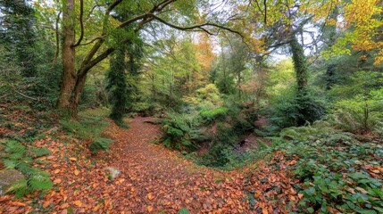 Autumnal woodland path lined with fallen leaves.