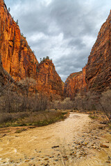 Grandiose Natur des Zion Nationalparks