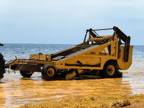 Coral Beach Cancun July 18, 2025. Machine lifting accumulated sargassum.