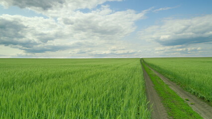 A Beautiful Landscape of a Lush Green Field Surrounded by a Cloudy Sky During Sunset