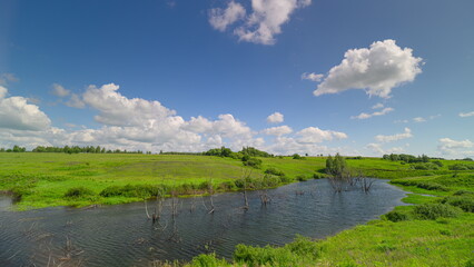 The Stunning and Scenic Wetlands Beneath a Bright and Beautiful Blue Sky Outside