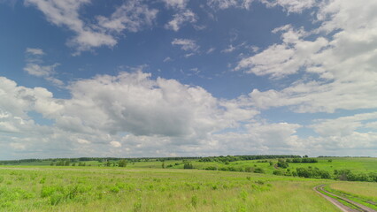 Fototapeta premium A Serene Pastoral Landscape Featuring Lush Greenery Beneath a Bright Blue Sky Above