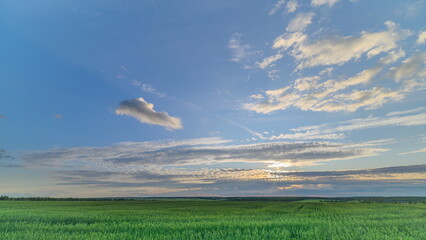 A Serene and Picturesque Landscape Featuring Expansive Green Fields Under a Bright Blue Sky
