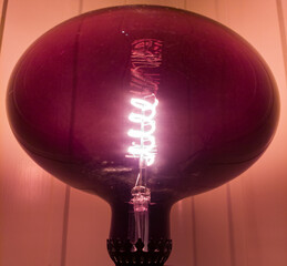 Beautiful filament in special pink lamp