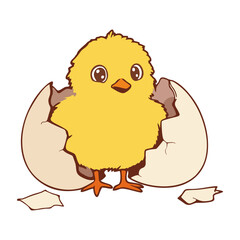 vector chick breaking the egg