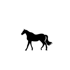 Horse Silhouette