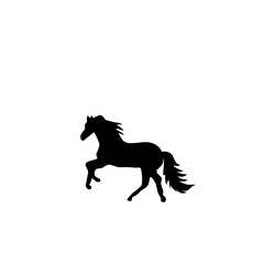 Obraz premium Horse Silhouette