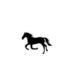 Horse Silhouette