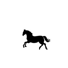 Horse Silhouette