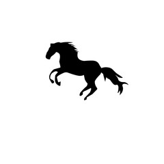 Horse Silhouette