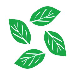 Green leaves illustration on white background  