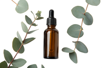 Eucalyptus Essence Natural Aromatherapy with Essential Oils for Holistic Wellness and Relaxation on a Clean Background