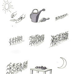 Infographic Hands Gardening Representing Planting To Harvesting Food