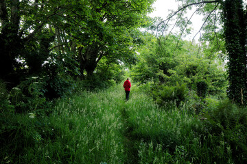 man walking in the forest