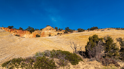 Landschaften und Slot Canyons im Grand Staircase Escalante