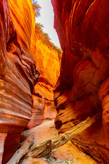 Landschaften und Slot Canyons im Grand Staircase Escalante