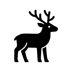 Reindeer