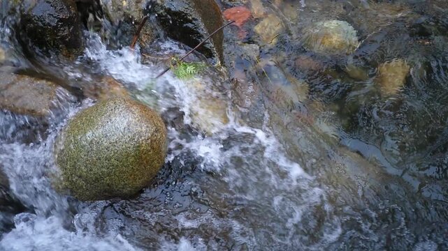 Rapid mountain stream flowing over stones. Natural outdoor scene with moving water.