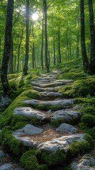 Sunlit Stone Path Through a Lush Green Forest