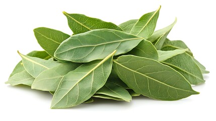 Fototapeta premium Fresh bay leaves close-up.