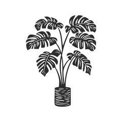 Obraz premium Monstera Plant In Pot Silhouette Illustration. Botanical Decor And Nature Aesthetics Isolated Vector Illustration